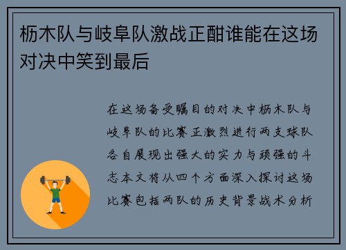 枥木队与岐阜队激战正酣谁能在这场对决中笑到最后